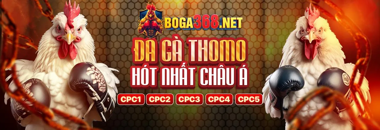 Banner khuyến mãi abc88 nhà cái